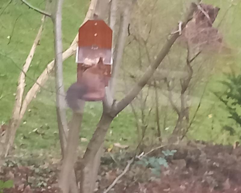 Accueil de la faune